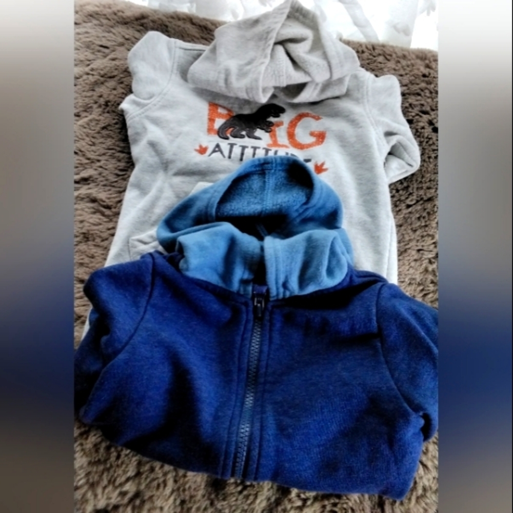 2 Boys Blue and Gray Kids Hoodie Bundle. 3T‎